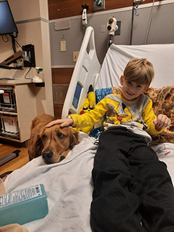Ezra, being comforted by Children’s Hospital facility dog, Link. 
