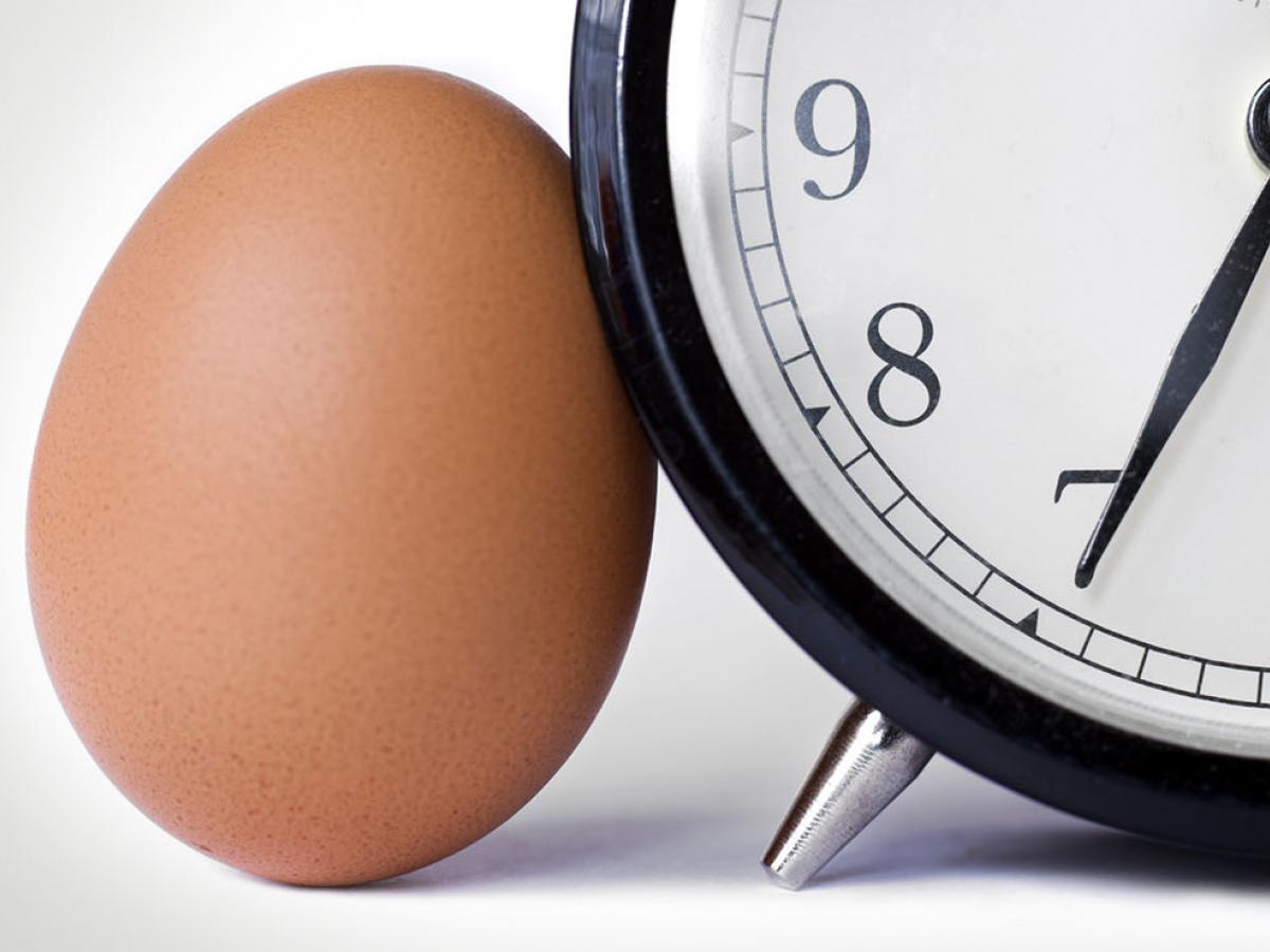 egg and clock