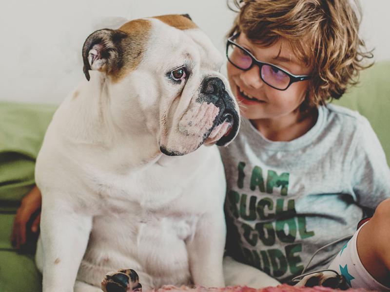 Young boy with his bulldog
